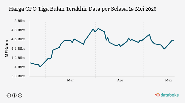 Harga CPO dan Kakao Naik Oktober 2026, Ini Dampaknya bagi Eksportir Indonesia